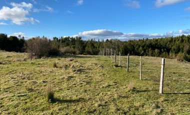 Campo en venta de 6,23 hectáras a una hora de Puerto Varas, El Mañio