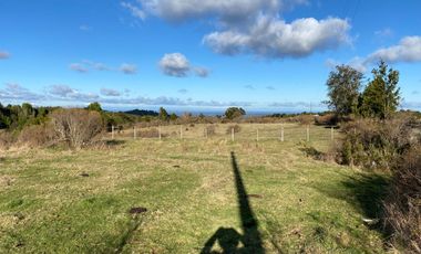 Campo en venta de 6,23 hectáras a una hora de Puerto Varas, El Mañio