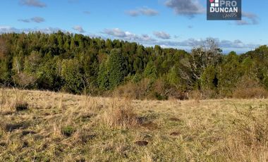 Campo en venta de 6,23 hectáras a una hora de Puerto Varas, El Mañio