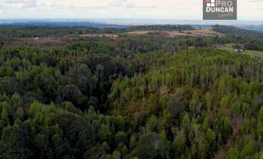 Campo en venta de 6,23 hectáras a una hora de Puerto Varas, El Mañio