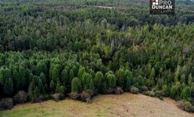 Campo en venta de 6,23 hectáras a una hora de Puerto Varas, El Mañio