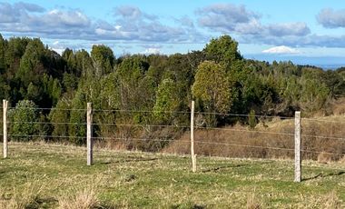 Campo en venta de 6,23 hectáras a una hora de Puerto Varas, El Mañio