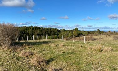 Campo en venta de 6,23 hectáras a una hora de Puerto Varas, El Mañio