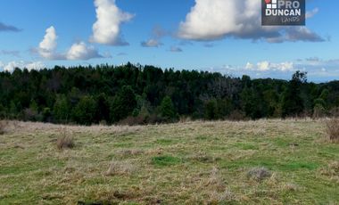 Campo en venta de 6,23 hectáras a una hora de Puerto Varas, El Mañio