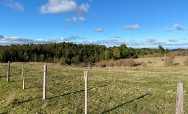 Campo en venta de 6,23 hectáras a una hora de Puerto Varas, El Mañio