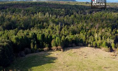 Campo en venta de 6,23 hectáras a una hora de Puerto Varas, El Mañio