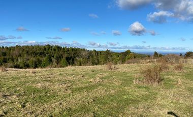 Campo en venta de 6,23 hectáras a una hora de Puerto Varas, El Mañio