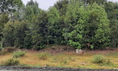 TERRENO 19000 M2, SECTOR LA POZA, PUERTO VARAS