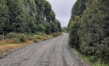 TERRENO 19000 M2, SECTOR LA POZA, PUERTO VARAS