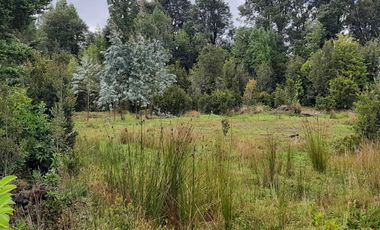 TERRENO 19000 M2, SECTOR LA POZA, PUERTO VARAS