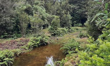 TERRENO 19000 M2, SECTOR LA POZA, PUERTO VARAS