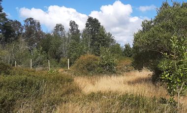 TERRENO 19000 M2, SECTOR LA POZA, PUERTO VARAS