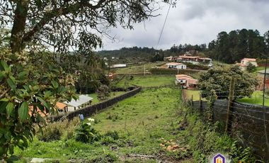 Hermosa finca con casa principal y 3 cabañas. Medellín - Santa Elena