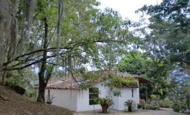 CASA FINCA EN EL POBLADO SAN LUCAS EN EXCELENTE UBICACIÓN