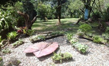 CASA FINCA EN EL POBLADO SAN LUCAS EN EXCELENTE UBICACIÓN