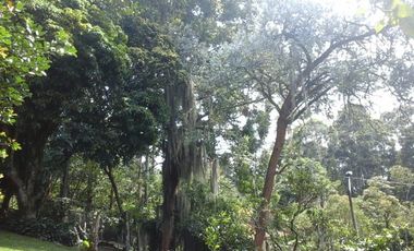 CASA FINCA EN EL POBLADO SAN LUCAS EN EXCELENTE UBICACIÓN