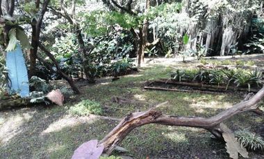 CASA FINCA EN EL POBLADO SAN LUCAS EN EXCELENTE UBICACIÓN