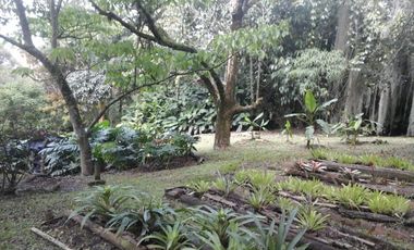 CASA FINCA EN EL POBLADO SAN LUCAS EN EXCELENTE UBICACIÓN