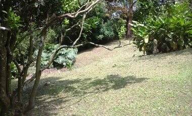 CASA FINCA EN EL POBLADO SAN LUCAS EN EXCELENTE UBICACIÓN