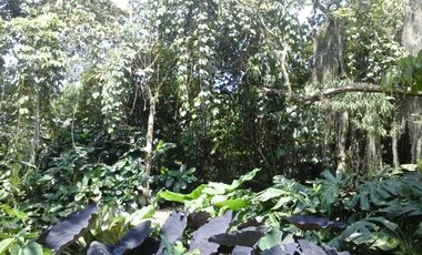 CASA FINCA EN EL POBLADO SAN LUCAS EN EXCELENTE UBICACIÓN