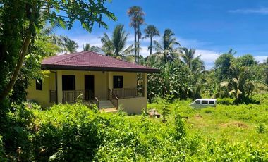 Newly Built House In Peaceful Dauin Mountains