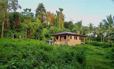 Newly Built House In Peaceful Dauin Mountains