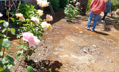 Venta Espectacular Terreno Agrícola de 30 Hectáreas en Comuna de San Javier