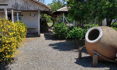 Venta Espectacular Terreno Agrícola de 30 Hectáreas en Comuna de San Javier