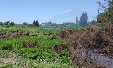 Venta Espectacular Terreno Agrícola de 30 Hectáreas en Comuna de San Javier