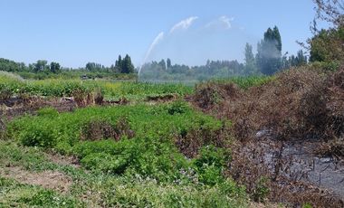 Venta Espectacular Terreno Agrícola de 30 Hectáreas en Comuna de San Javier
