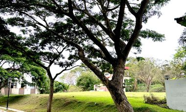 432 Sqm Vacant Residential Lot in Ayala Westgrove Heights Silang Cavite Near Nuvali