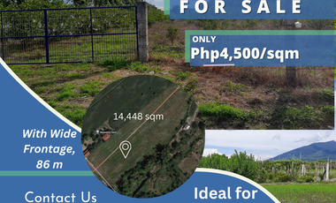 14,448 sqm Residential Fruit Farm Lot For Sale in Magalang Pampanga