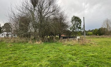 Venta Parcela Con Dos Casas Comuna De Puyehue