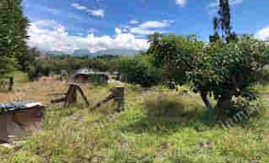 VENTA DE PROPIEDAD EN GUAYLLABAMBA, TERRENO 5000m2, CASA, GUAYLLABAMBA