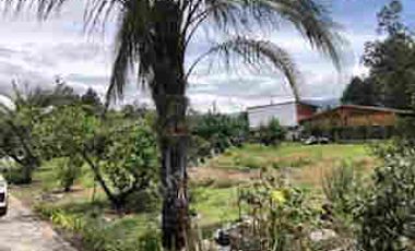 VENTA DE PROPIEDAD EN GUAYLLABAMBA, TERRENO 5000m2, CASA, GUAYLLABAMBA