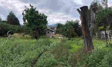 VENTA DE PROPIEDAD EN GUAYLLABAMBA, TERRENO 5000m2, CASA, GUAYLLABAMBA