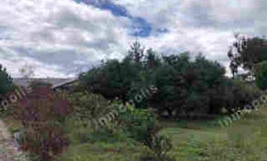 VENTA DE PROPIEDAD EN GUAYLLABAMBA, TERRENO 5000m2, CASA, GUAYLLABAMBA