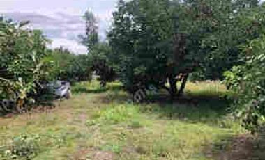 VENTA DE PROPIEDAD EN GUAYLLABAMBA, TERRENO 5000m2, CASA, GUAYLLABAMBA