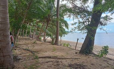 1 Hectares Beach Front Lot for Sale in Busuanga, a Tourist site in Palawan