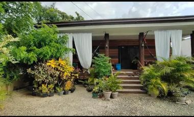 Beach House for Sale in Maravilla, Tabuelan Cebu