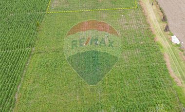 LOTE DE TERRENO EN VENTA EN NATABUELA - EL VÍNCULO