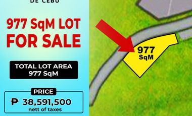 977 SqM Lot in Monterrazas de Cebu For Sale