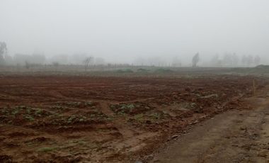 2024/516 VENTA PARCELA DE 1 HA  SAN CLEMENTE
