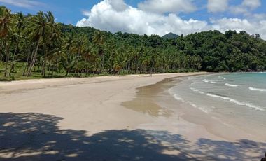 Puerto Princesa, Palawan | Beach Cove FOR SALE - #2960