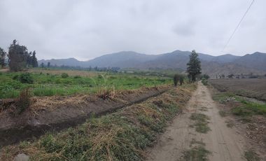 Venta de terreno agrícola de 19 hectáreas en Supe Barranca