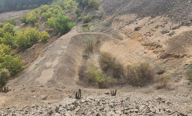 Venta de terreno agrícola de 19 hectáreas en Supe Barranca