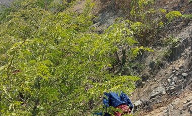 Venta de terreno agrícola de 19 hectáreas en Supe Barranca