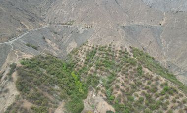 Venta de terreno agrícola de 19 hectáreas en Supe Barranca