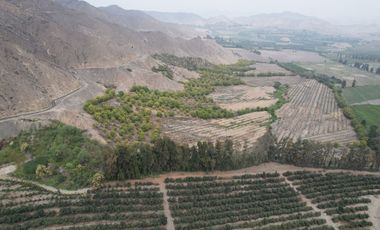 Venta de terreno agrícola de 19 hectáreas en Supe Barranca