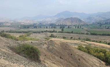 Venta de terreno agrícola de 19 hectáreas en Supe Barranca